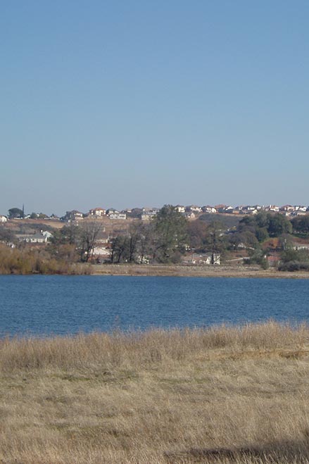 bass lake view