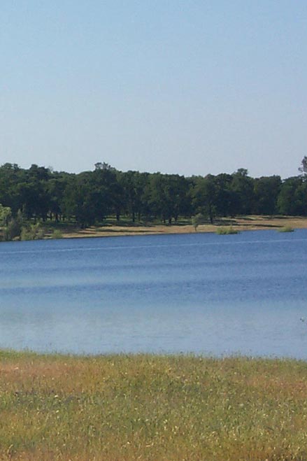 bass lake and trees